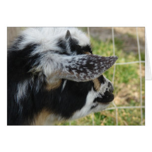 Cartão Botões olhando para fora