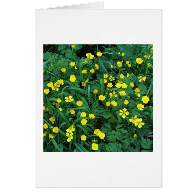 Cartão Bottercups (Frente)