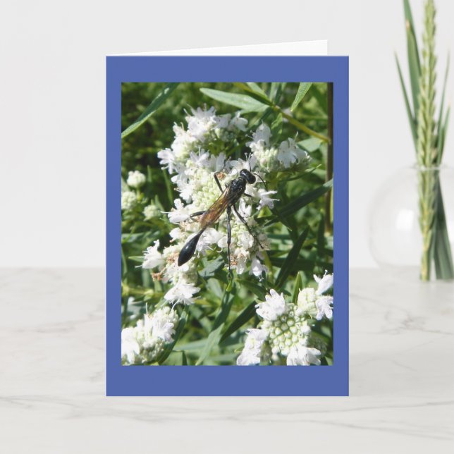 Cartão Bottle Wasp on Mountain Mint Blank Note Card (Frente)