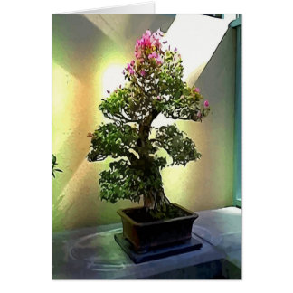 Cartão Bougainvillea Bonsai Tree