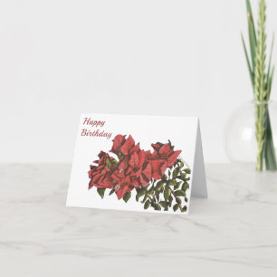 Cartão Bougainvillea Folheto