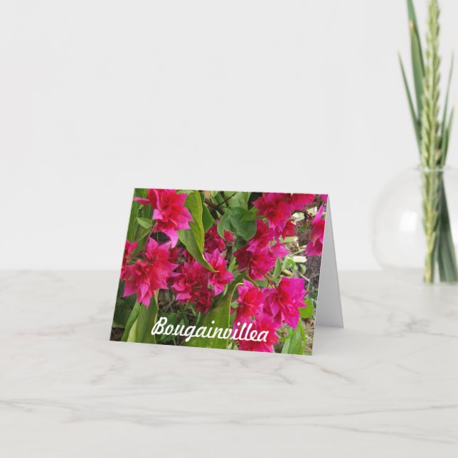 Cartão Bougainvillea Notecards (Frente)