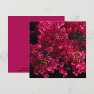 Cartão Bougainvillea Red Tropical Vining Shrub Foto
