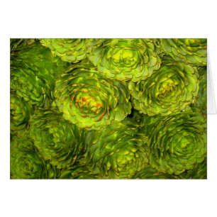 Cartão Boutique da alcachofra