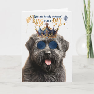 Cartão Bouvier Dog King por um dia de aniversário engraça