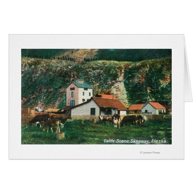 Cartão Bovinos Entre Cenas de Barns, Skagway, AK (Frente Horizontal)