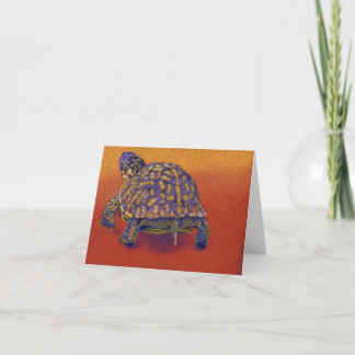 Cartão Box Turtle, tortoise