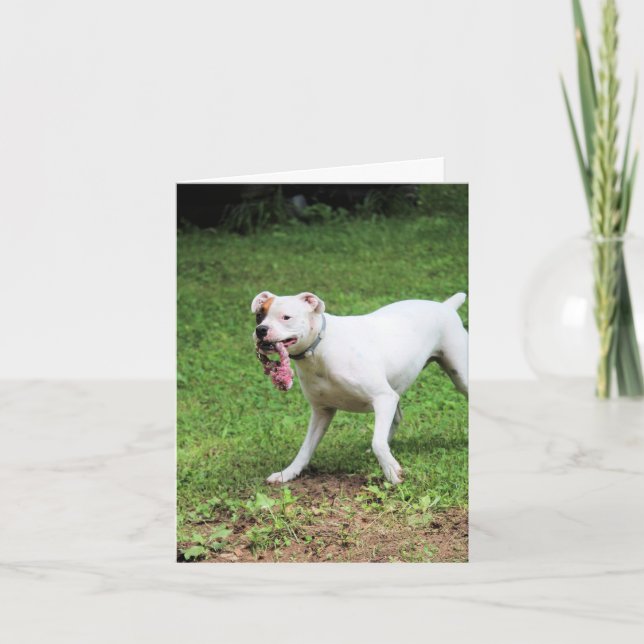 Cartão Boxer (Frente)