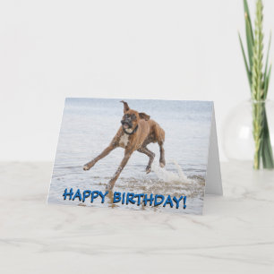 Cartão Boxer dog birthday card