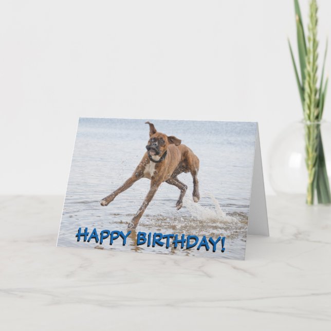 Cartão Boxer dog birthday card (Frente)