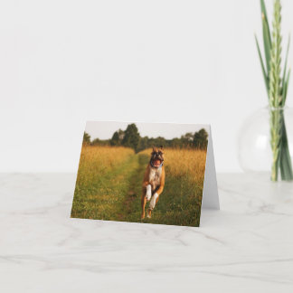 Cartão Boxer Dog Greeting Card