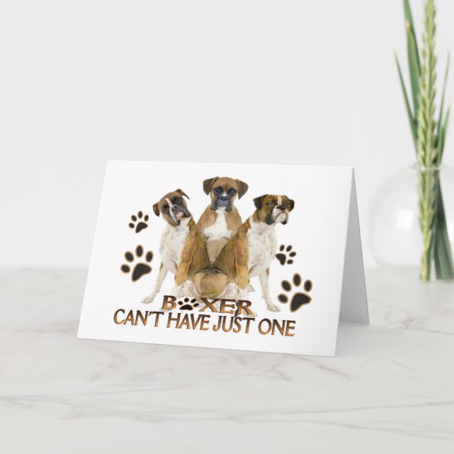 Cartão Boxer não pode ter apenas uma placa (Frente)