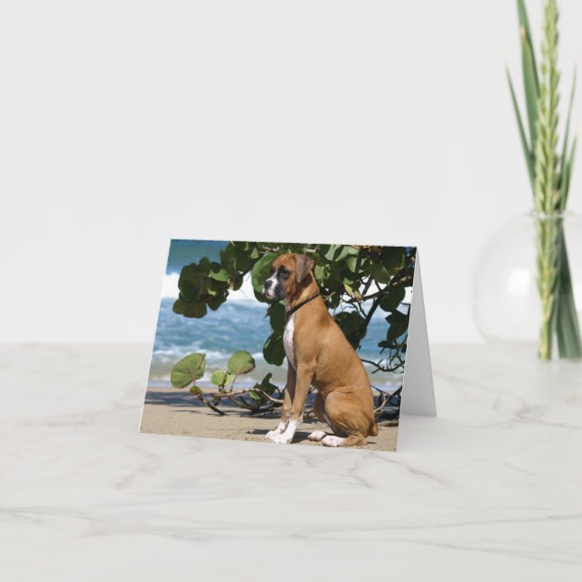 Cartão Boxer Note Card (Frente)