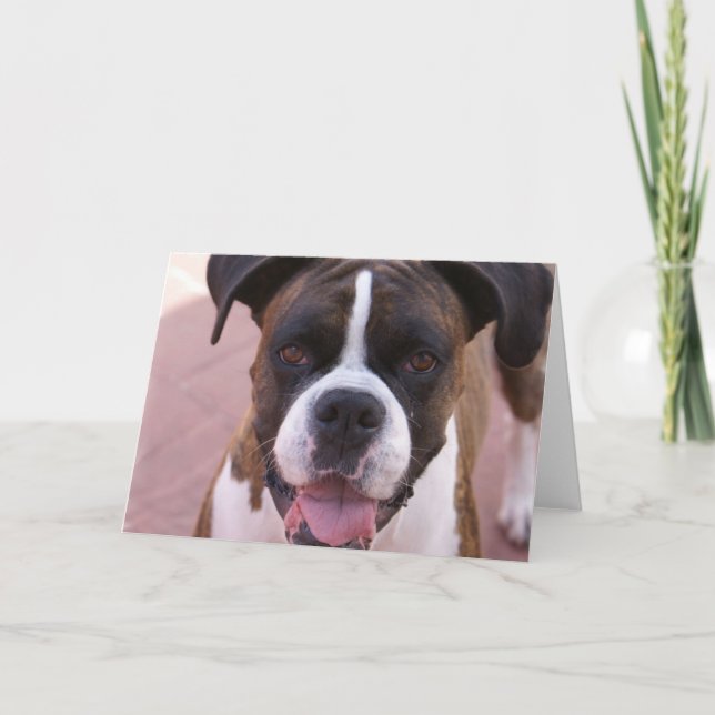 Cartão Boxer Pup Greeting Card (Frente)
