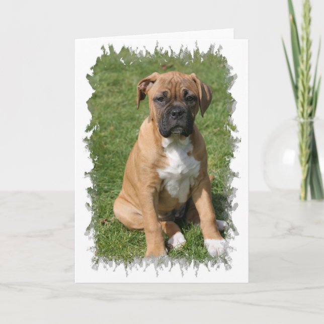 Cartão Boxer Puppy Greeting Card (Frente)