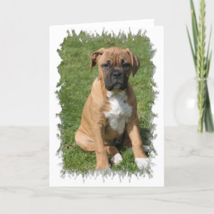 Cartão Boxer Puppy Greeting Card
