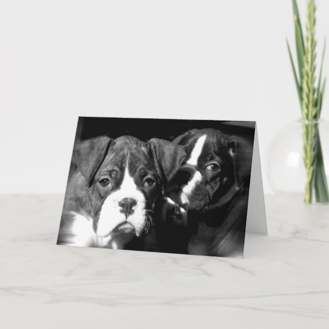 Cartão Boxer pups greeting card (Frente)