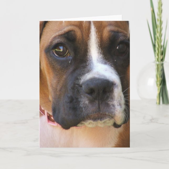 Cartão Boxer Rescue Greeting Card (Frente)