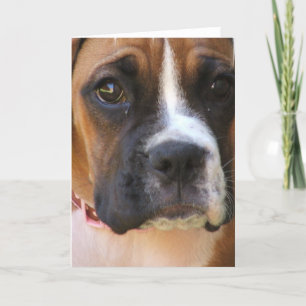 Cartão Boxer Rescue Greeting Card
