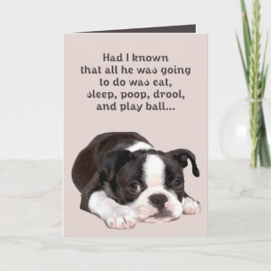 Cartão Boyfriends are like Dogs Card