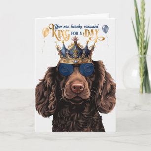Cartão Boykin Spaniel Dog King para o dia feliz aniversár
