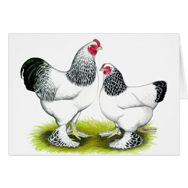 Cartão Brahma: Luz (Frente Horizontal)