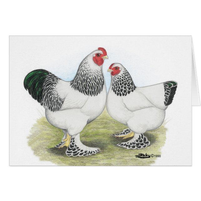 Cartão Brahma: Luz2 (Frente Horizontal)