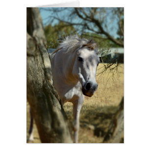 Cartão Branca De Neve O Cavalo,_