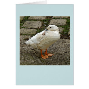 Cartão branco da arte gráfica do pato