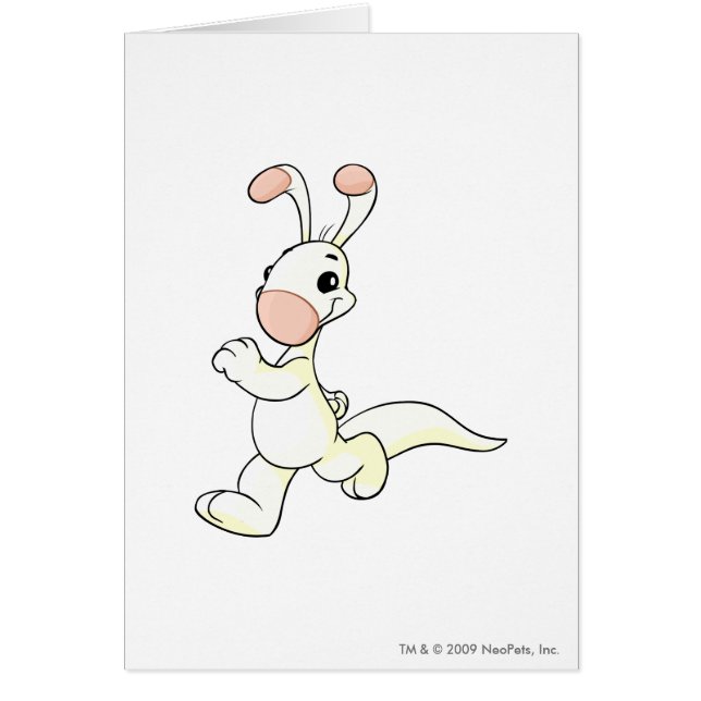 Cartão Branco de Blumaroo (Frente)