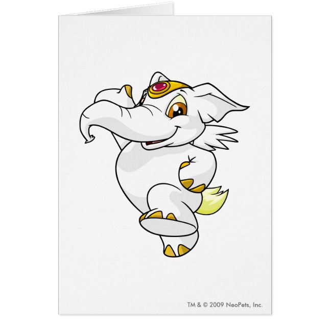 Cartão Branco de Elephante (Frente)