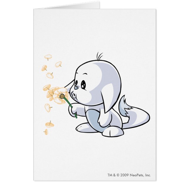 Cartão Branco de Kacheek (Frente)