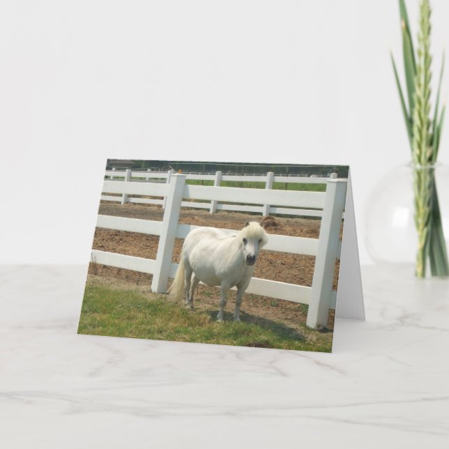 Cartão branco de miniatura de cavalo (Frente)
