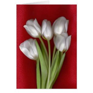 Cartão Branco no vermelho