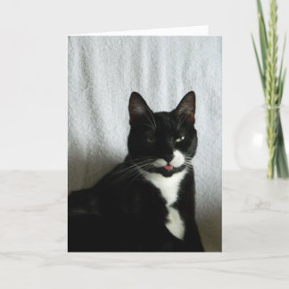 Cartão Brat Cat Razzberry Birthday
