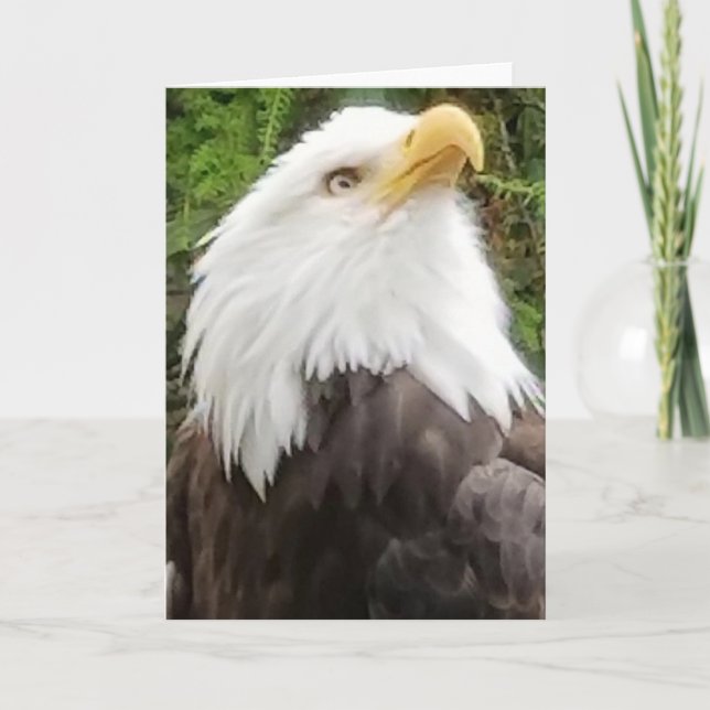 Cartão Brave Eagle Greeting Card (Frente)