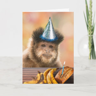 Cartão Bravo Aniversário Capuchin Macaco Banana Pão