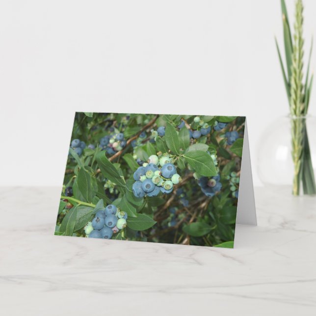 Cartão Brays Blueberry Greene County Indiana (Frente)