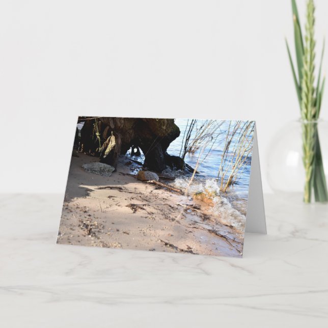 Cartão Breakers, Beachlife (Frente)