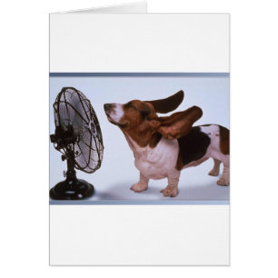 Cartão Breeze - Cachorro e ventilador