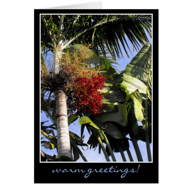 Cartão Breeze tropical (Frente)