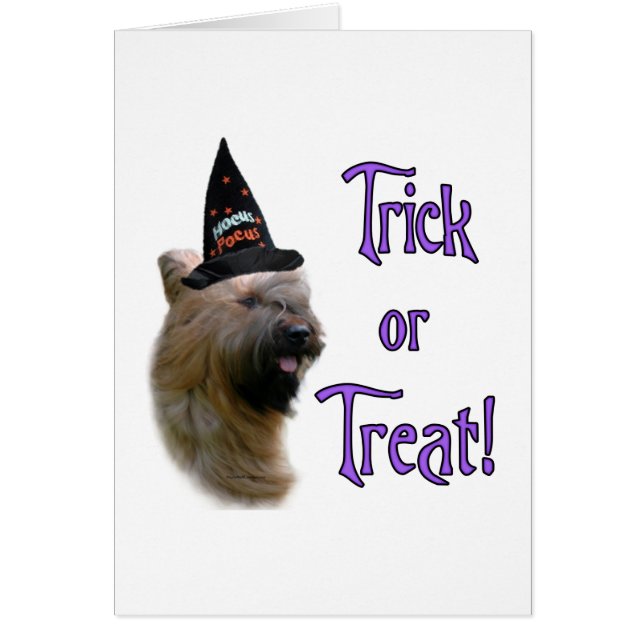 Cartão Briard Trick (Frente)