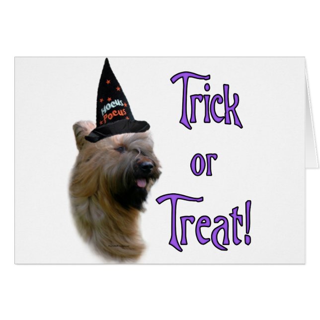 Cartão Briard Trick (Frente Horizontal)