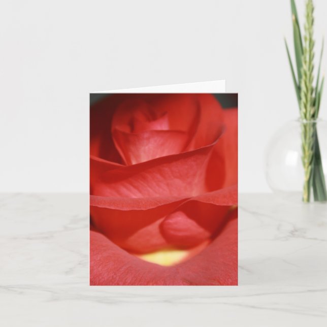 Cartão Brick Red Rose Note Card (Frente)
