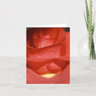 Cartão Brick Red Rose Note Card