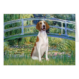 Cartão Bridge - American Foxhound