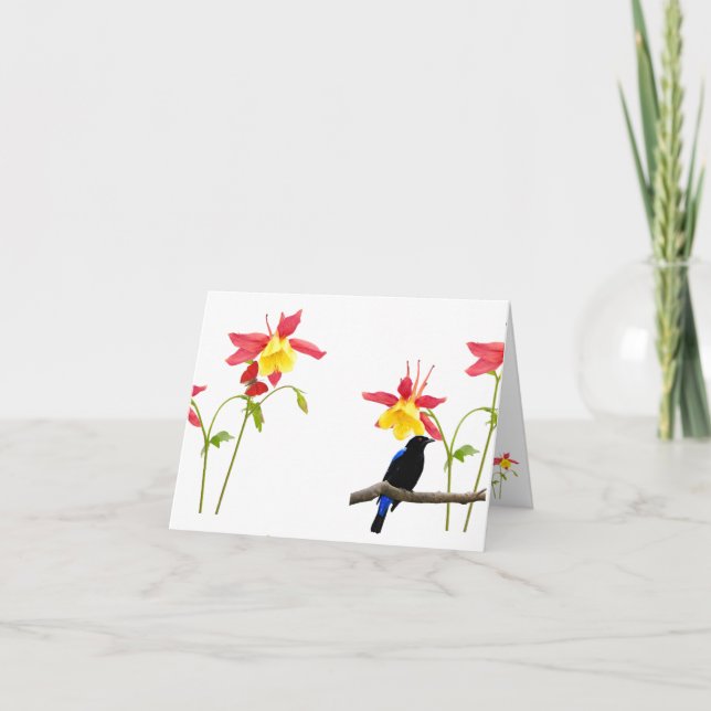 Cartão Bright Blank Note Card with envelope (Frente)