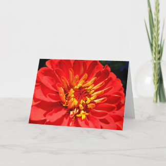 Cartão Bright flowers collection greeting card (blank)