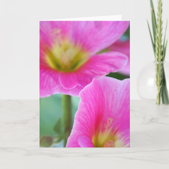 Cartão Bright Pink Hollyhocks Card (Frente)