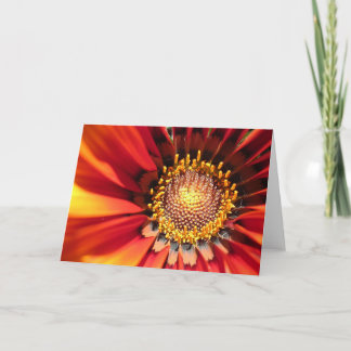 Cartão Bright Spark